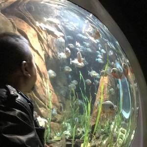 Meet your Posher, Charlie